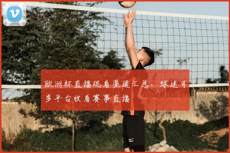 欧洲杯直播观看渠道汇总,球迷可多平台收看赛事直播