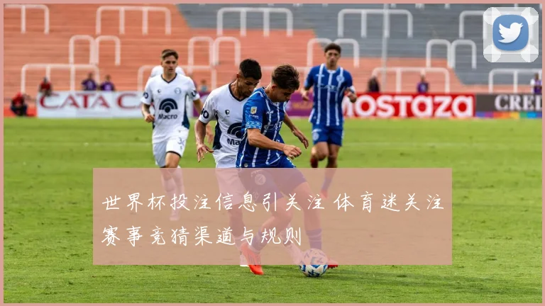 世界杯投注信息引关注 体育迷关注赛事竞猜渠道与规则