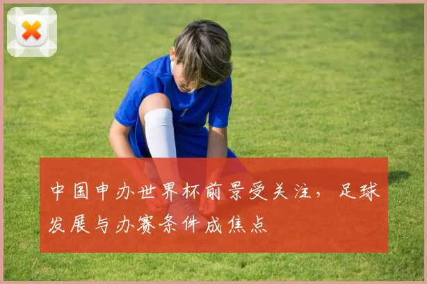 中国申办世界杯前景受关注，足球发展与办赛条件成焦点