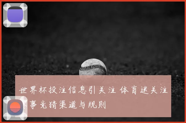 世界杯投注信息引关注 体育迷关注赛事竞猜渠道与规则